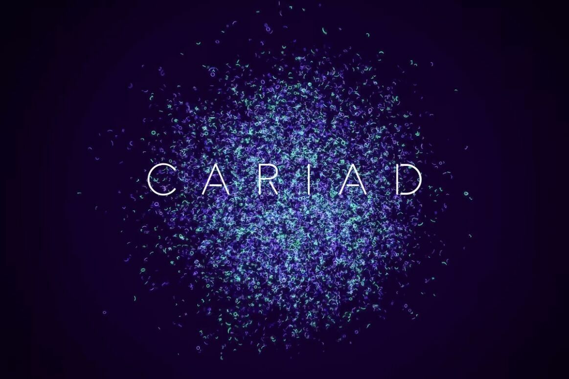 you-make-it-work_cariad_vlcsnap-2021-09-03-15h50m21s619-1200_1200x800