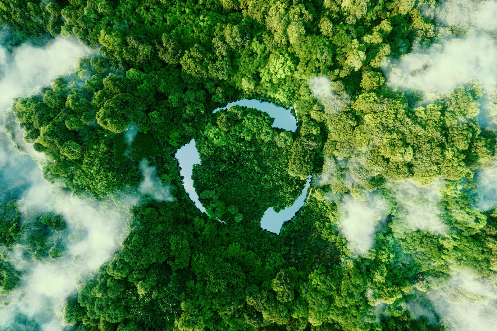 Drone view of a dense green forest with patches of fog; in the center, trees and water form the recycling symbol.