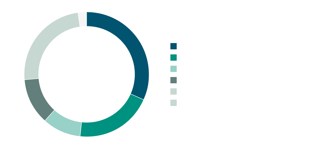 Infographic shareholder structure