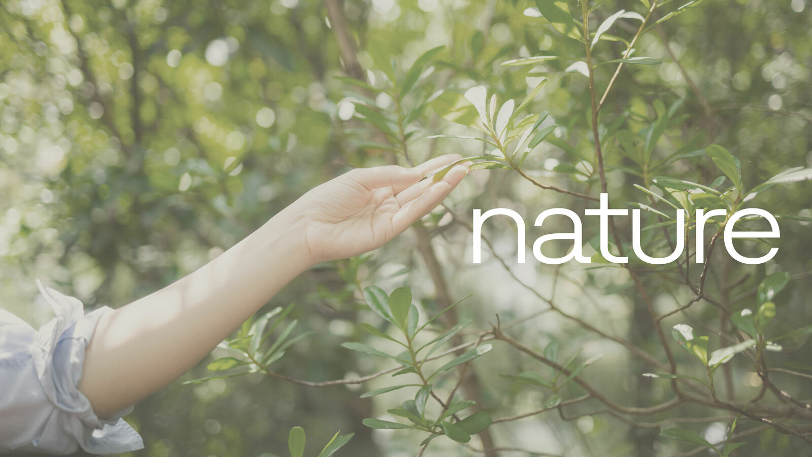 A hand gently touches the leaves of a tree, symbolizing a connection to nature, with the word "nature" in the foreground.