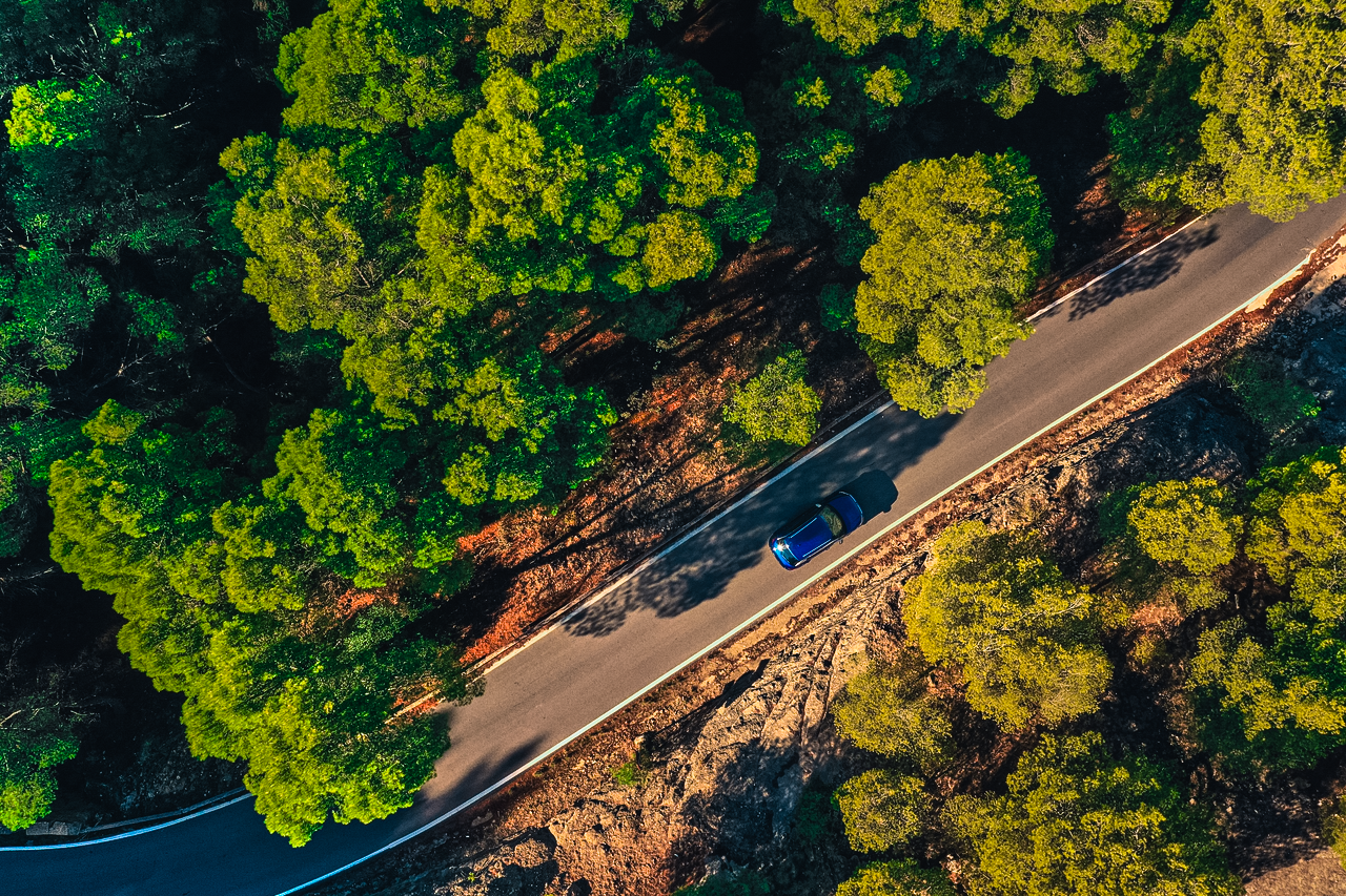 Eine Luftaufnahme eines blauen Autos, das auf einer kurvigen Straße durch einen dichten Wald fährt. Der Boden ist von Bäumen und grünen Sträuchern umgeben.