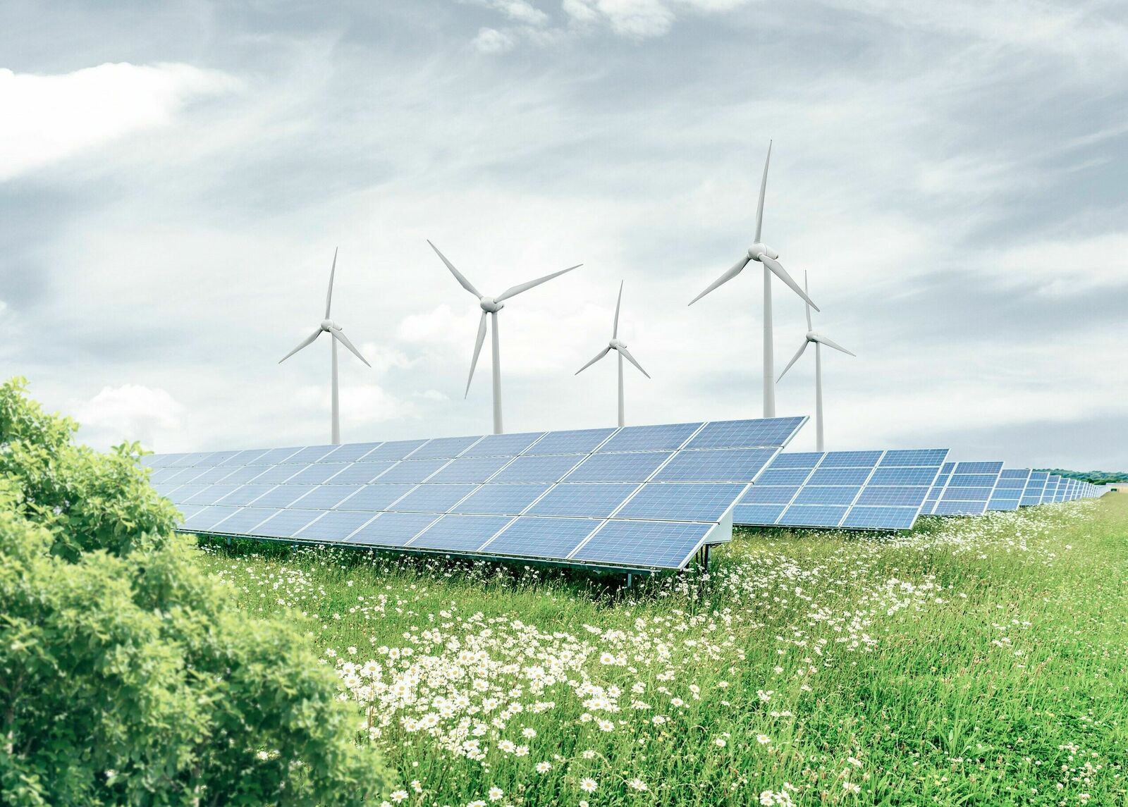 A green meadow filled with white flowers, featuring a row of solar panels in the foreground. Wind turbines rotate in the background, emphasizing renewable energy and sustainability. The cloudy sky adds a calm and natural atmosphere to the scene.