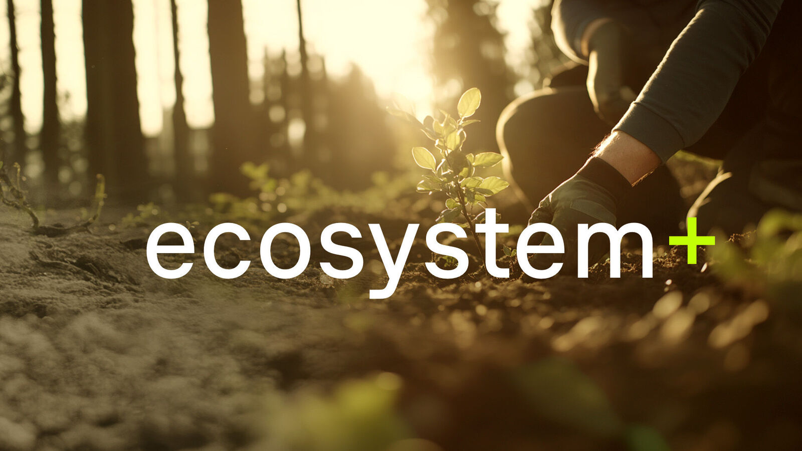 Ecosystem
