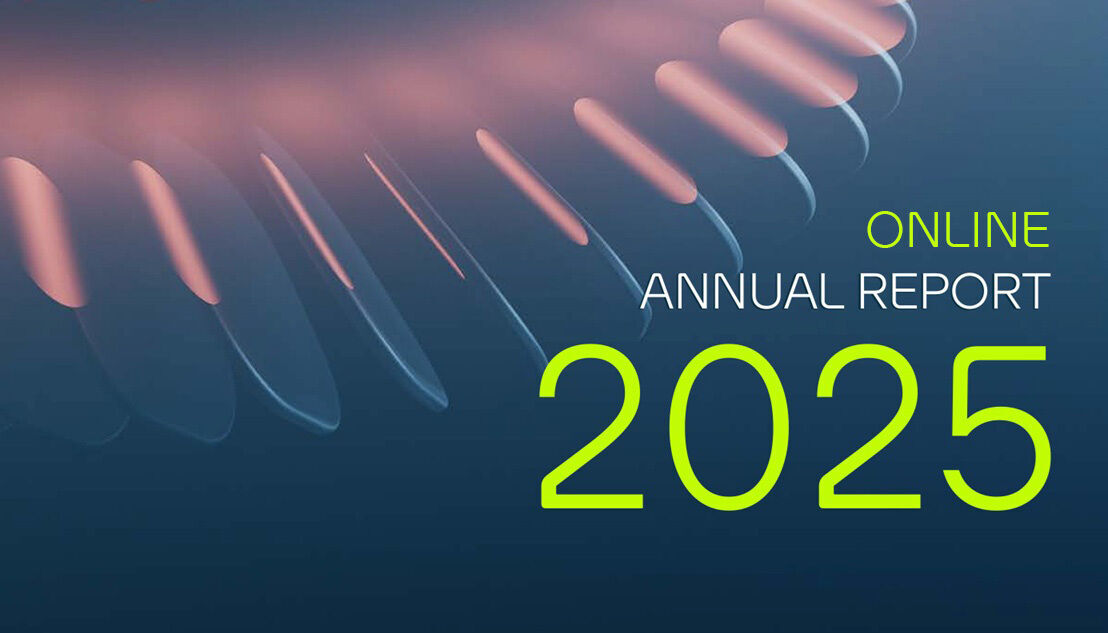 Online Annual Report 2025