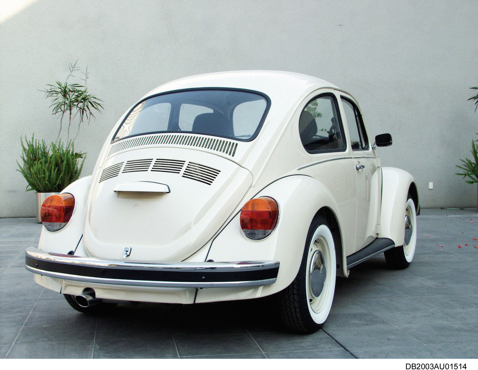 Volkswagen Beetle 