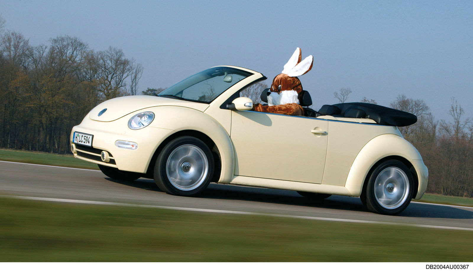 Der Osterhase im New Beetle Cabriolet