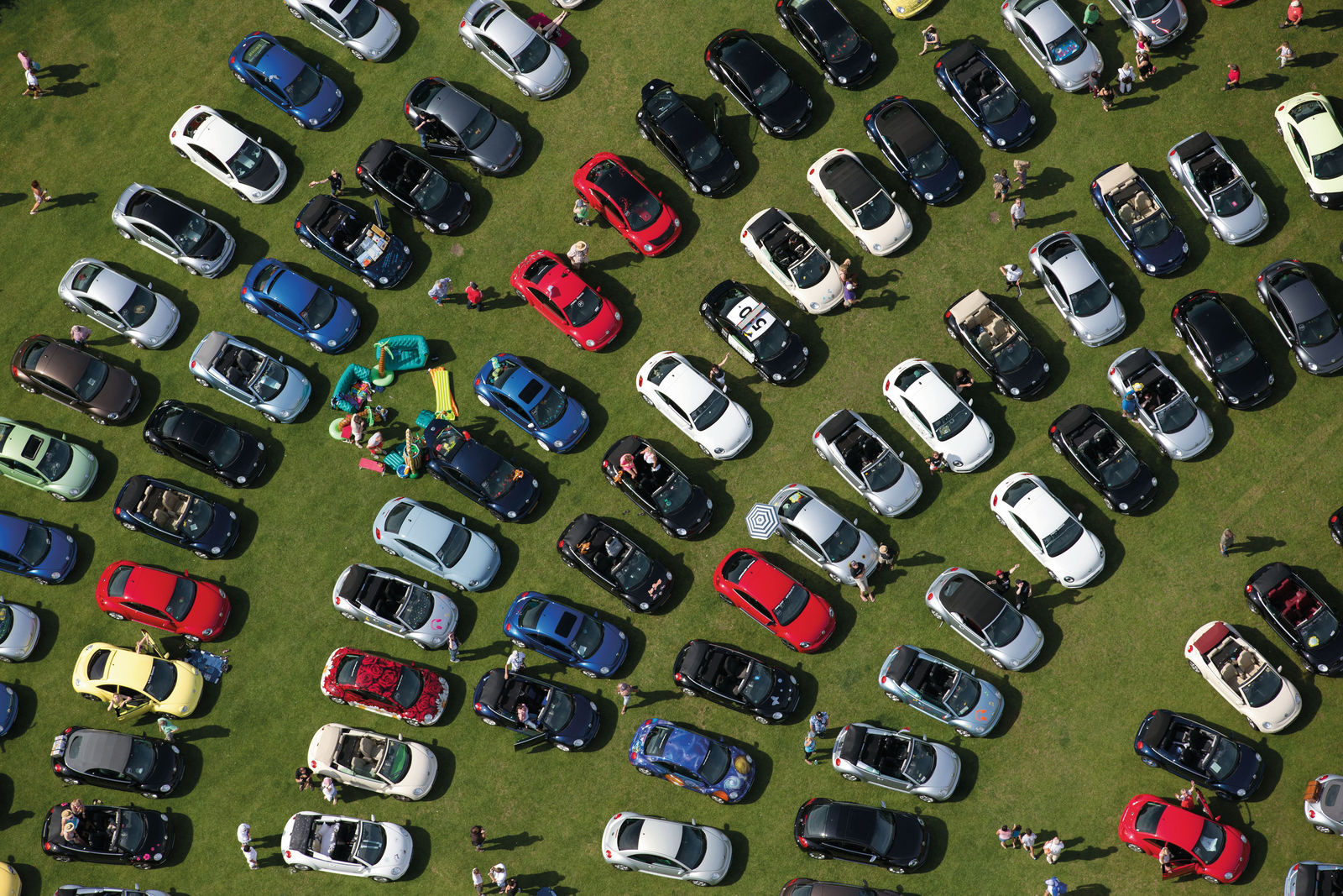 Beetle Sunshinetour 2012