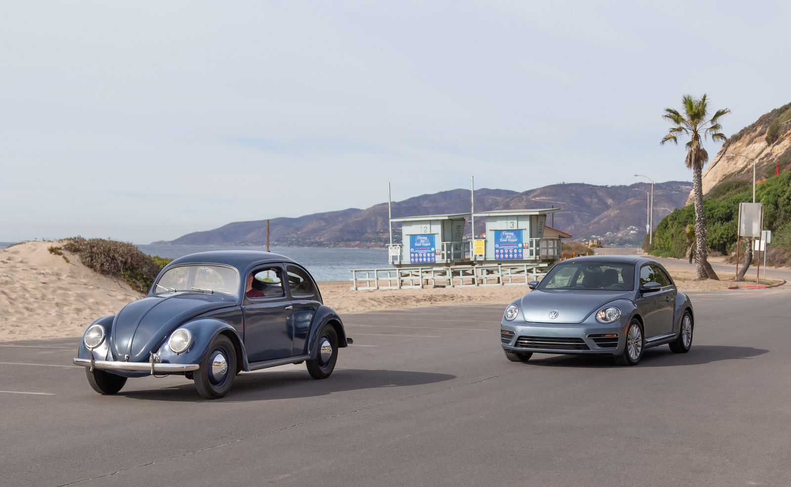 Historical Beetle and Volkswagen Beetle "Final Edition"