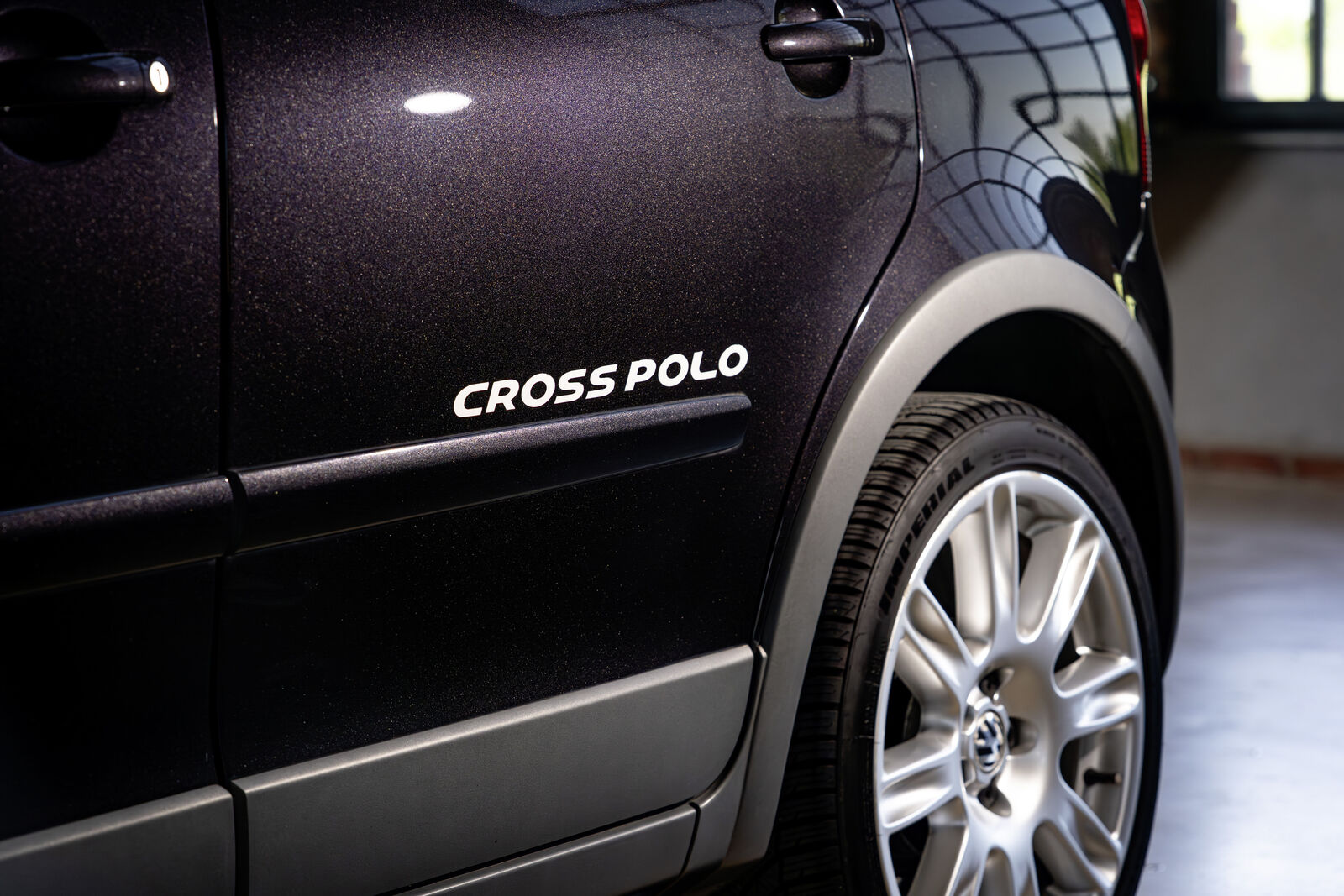 CrossPolo IV (2006)