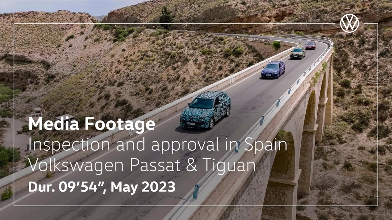 Volkswagen Passat & Tiguan - Inspection and approval  in Spain